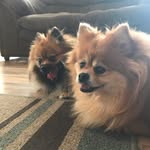Kenny Bennett - @pebbbles01 - Instagram