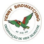 Kenny Birdwatching - @kenny_birdwatching - Instagram