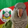 Kenny - @kennyslowbird2 - TikTok