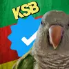 Kenny - @kennyslowbird - TikTok