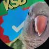 kennyslowbird - @kennyslowbird7 - TikTok