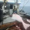 Kenny Bond - @kenny.bond1 - TikTok
