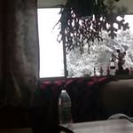 Kenny Burge Jr. - @burgejr.kenny - Instagram
