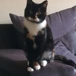 Kenny Cameron - @kennycameron85 - Instagram
