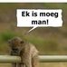 Kenny Cameron - Facebook