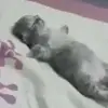 ðダ - @kennycarsonlover - TikTok