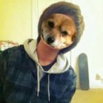 Kenny Chavez - @kenny_haz - Instagram