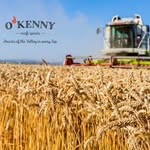 O'Kenny Craft Spirits - @okennycraftspirits - Instagram