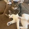 Kennyandcyrus - @kennyandcyrus - TikTok