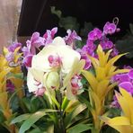 Kenny Dalton - Facebook