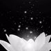 Kenny Đặng - Facebook