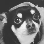 Kennydao - @kenny__peter_dao - Instagram