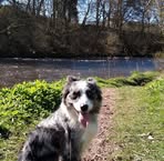 Kenny Davidson - Facebook
