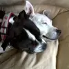 Kenny Davidson - @kenny.davidson7 - TikTok