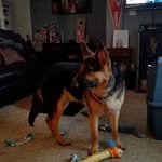 Kenny Davis - @kenny.davis.777363 - Instagram