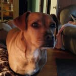 Kenny - @davisonkenny68 - Instagram