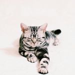Kenny Dean - @kenny.dean - Instagram