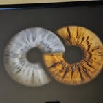 Kenny Dearth - @dearthkenny - Instagram