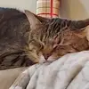 Kenny Dement - @kenny.dement - TikTok