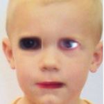 Brutus Kenny Dempsey - @brutelolhd - Instagram