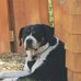 Kenneth Dempsey - Facebook