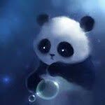 Kenny Deng - @sparkxz101 - Instagram