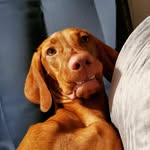 Kenny Dennison - @kenneth_dennison - Instagram