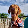 Kenny Dennison616 - @kennydennison - TikTok