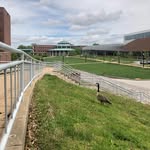 Kenny Dickens - @geese.of.umsl - Instagram