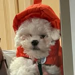 @kenny__dixon - Instagram