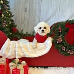 @kenny__dixon - Instagram