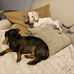 Kenny and Reggie Dixon - @adventuresofkennyandreggie - Instagram