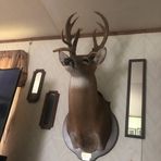 Kenny Dodd - Facebook