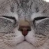 goofygoober6969 - @kennydonovan1 - TikTok