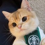 kenny - @kenny.dooooooooooooooooooooooo - Instagram