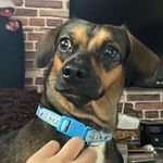 Kennydoo - @kennydoo.dump - Instagram