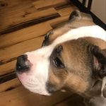 Kenny Douglas - @kenny_douglas_ - Instagram