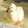 Kenny🦢🍞 - @kenny.dove - TikTok