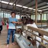 Phạm Viết đức - @kennyduc140194 - TikTok