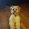 Kenny Duffy - @kenny.duffy - TikTok