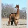 Kenny Dunn - @kennydunn3 - TikTok