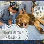 Kenny duran gonzales - @kennydurangonzales - Instagram