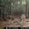 Kenneth Dutton948 - @kenny.dutton - TikTok