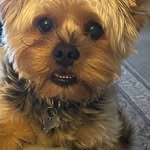 Kenneth Dutton - @kendutton10 - Instagram