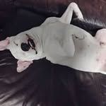 Kenny Dye - @kennydyee12 - Instagram