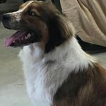 Kenny Eads - @keads17131boatdocter - Instagram