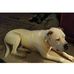 Kenny Eads - Facebook