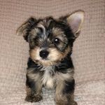 @kenny_earl_ - Instagram