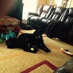 Kenny Early - @kenneth_early - Instagram