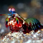 Kenny Eugene Foster - @deepdivehd - Instagram